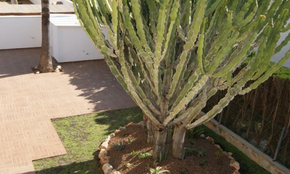 Resale - Villa - Orihuela Costa - MUY CERCA DE LA PLAYA