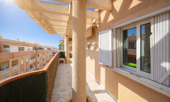 Resale - Apartment - Torrevieja - Parque de Las Naciones