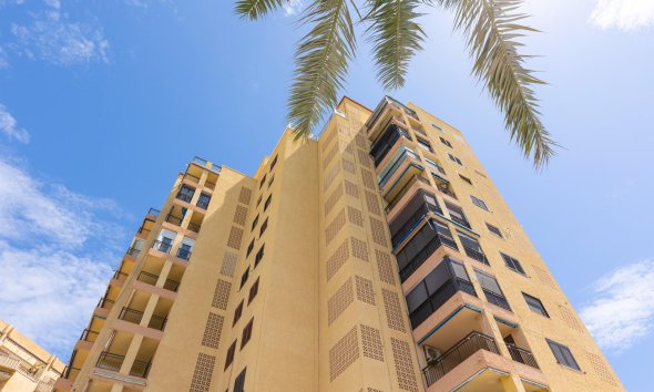 Rynek Wtórny - Apartament - Torrevieja - Playa del cura