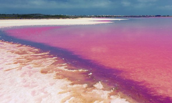 New Build - Bungalow - Los Balcones, Torrevieja - Los Balcones