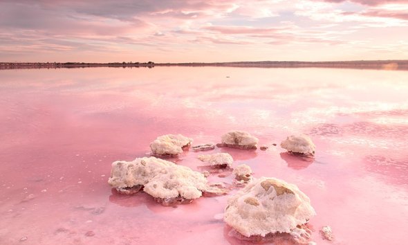 New Build - Bungalow - Torrevieja - Sector 25