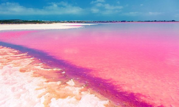 New Build - Villa - Torrevieja - Sector 25