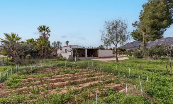 Rynek Wtórny - Willa - Hondón de las Nieves
