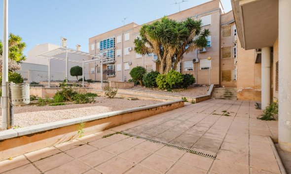 Rynek Wtórny - Apartament - San Miguel de Salinas