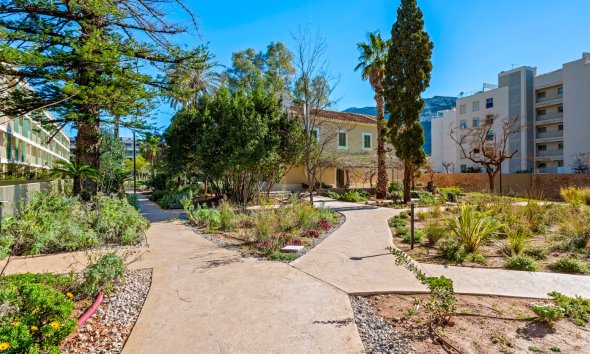 Resale - Apartment - Denia - Puerto