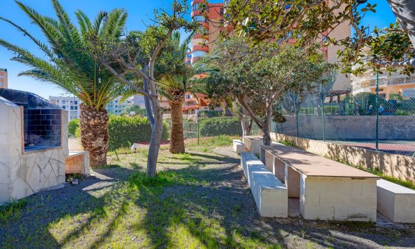 Resale - Apartment - Arenales del Sol - Segunda linea playa