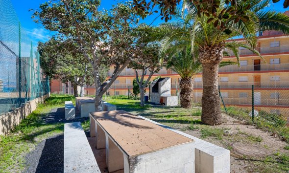 Resale - Apartment - Arenales del Sol - Segunda linea playa