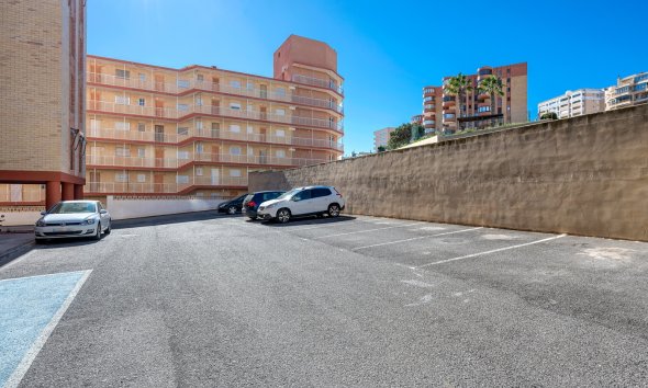 Resale - Apartment - Arenales del Sol - Segunda linea playa