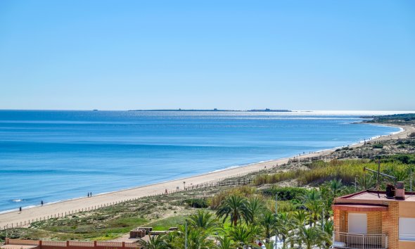 Resale - Apartment - Arenales del Sol - Segunda linea playa