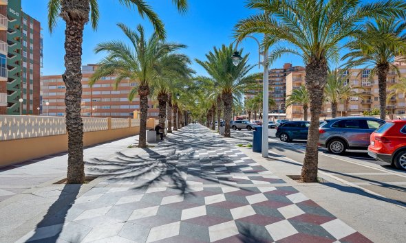 Resale - Apartment - Arenales del Sol - Segunda linea playa