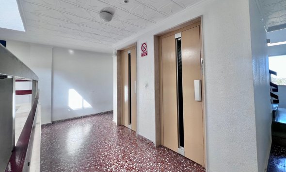 Resale - Apartment - Torrevieja - Punta prima