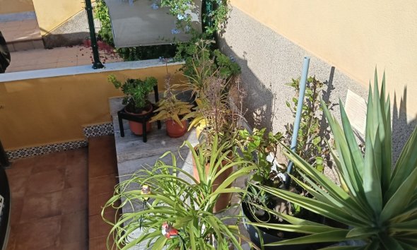 Resale - Apartment - Los Montesinos - La Herrada