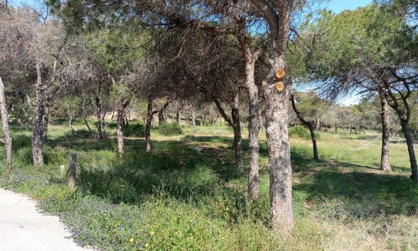 Resale - Bungalow - Guardamar del Segura - Urbanizaciones