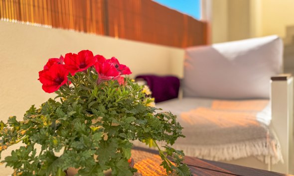 Resale - Bungalow - Torrevieja - Los Altos