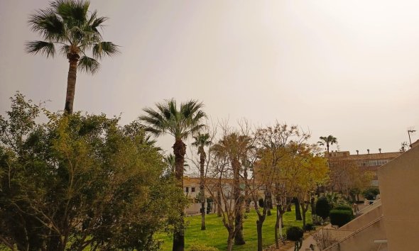 Rynek Wtórny - Apartament - Orihuela Costa - La Regia