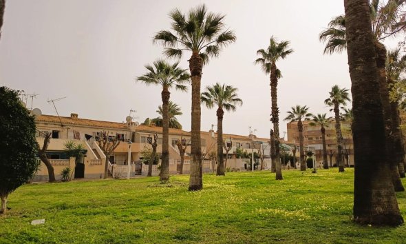 Rynek Wtórny - Apartament - Orihuela Costa - La Regia