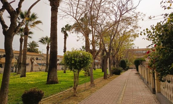 Rynek Wtórny - Apartament - Orihuela Costa - La Regia