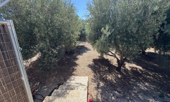 Resale - Farm Estate / Country Property - Albatera - BARRANCO SAN CAYETANO