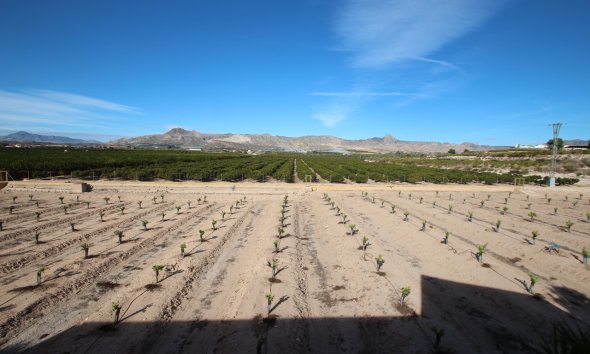 Resale - Farm Estate / Country Property - Murcia - Costa Blanca