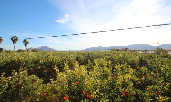 Resale - Farm Estate / Country Property - Murcia - Costa Blanca