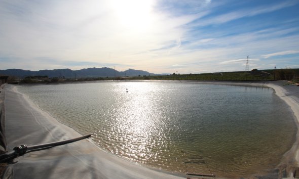 Resale - Farm Estate / Country Property - Murcia - Costa Blanca