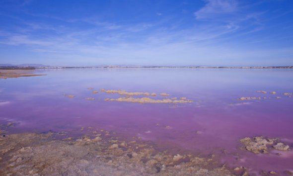 Resale - Villa - Torrevieja - Los Altos