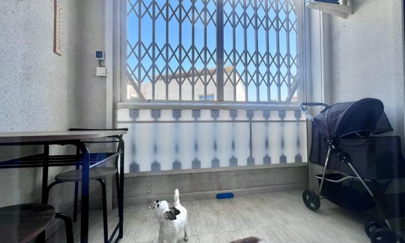 Resale - Apartment - Torrevieja - Acequion