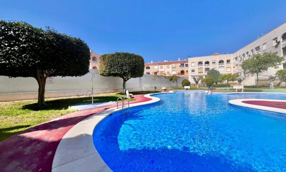 Resale - Apartment - Torrevieja - Acequion