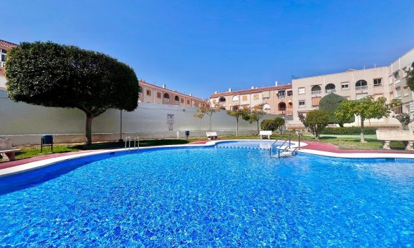 Resale - Apartment - Torrevieja - Acequion