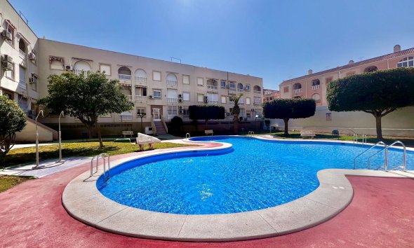 Resale - Apartment - Torrevieja - Acequion