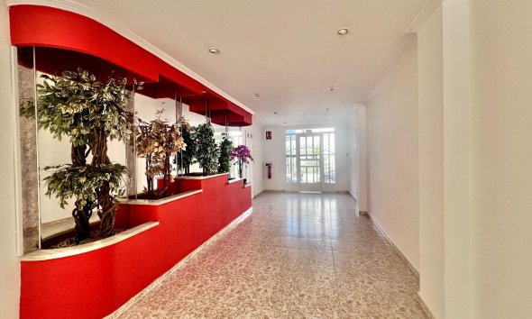 Resale - Apartment - Torrevieja - Acequion