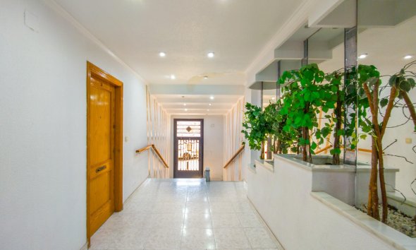 Resale - Apartment - Torrevieja - Estacion de autobuses