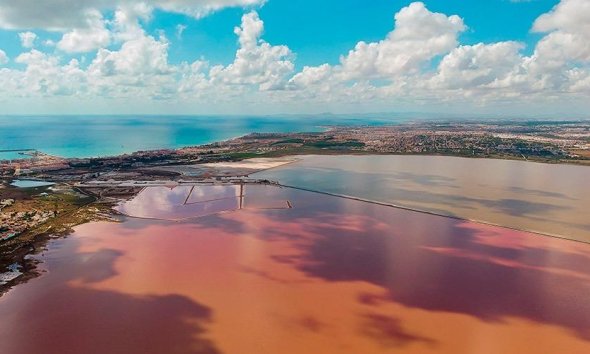 Resale - Apartment - Torrevieja - La Mata