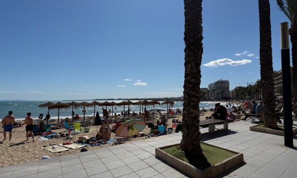 Reventa - Apartamento - Torrevieja - Playa del cura