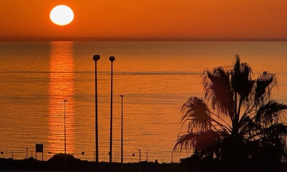 Resale - Apartment - Orihuela Costa - Playa Flamenca