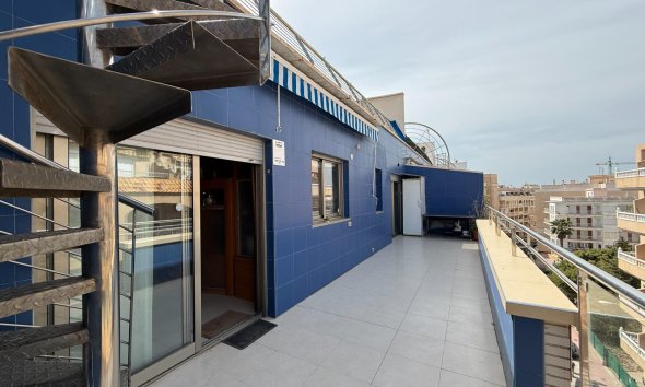 Reventa - Apartamento - Torrevieja - Playa de los locos