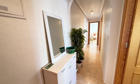 Rynek Wtórny - Apartament - Torrevieja - Nueva Torrevieja