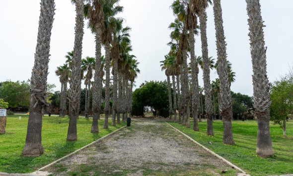 Resale - Villa - Torrevieja - Los Altos