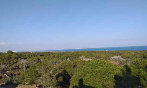 Obra nueva - Apartamento - Guardamar del Segura - Guardamar Del Segura