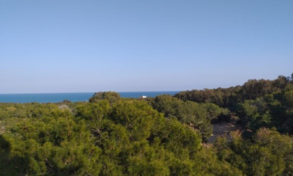 Obra nueva - Apartamento - Guardamar del Segura - Guardamar Del Segura