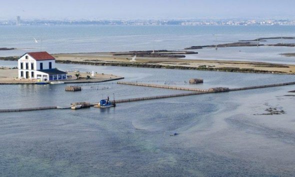 Obra nueva - Villa - San Pedro del Pinatar - San Pedro Del Pinatar