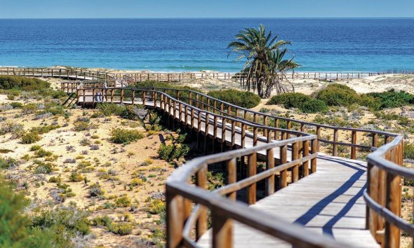 Obra nueva - Bungalow - Monforte del Cid