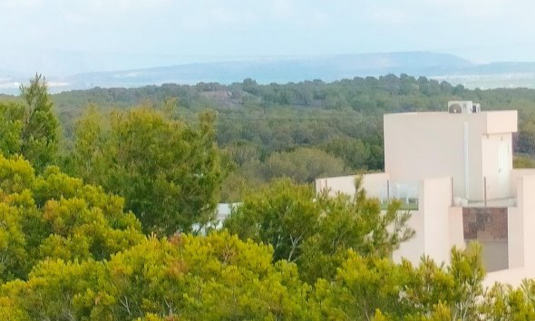 New Build - Terraced house / Townhouse - Orihuela Costa