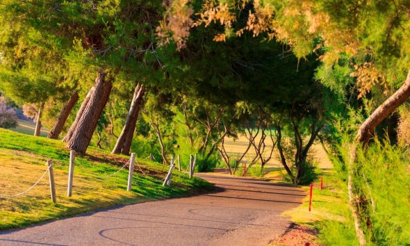 Rynek Pierwotny - Willa - Pilar de la Horadada