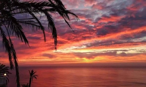 Obra nueva - Bungalow - Torrevieja