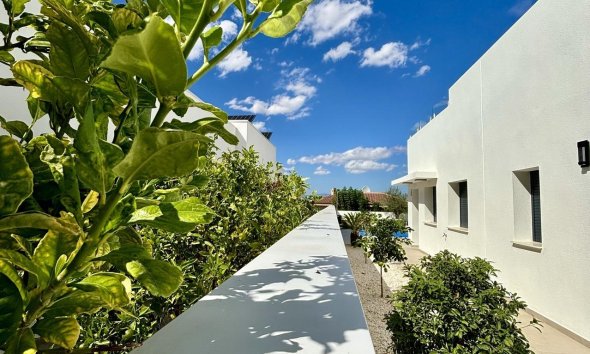 Rynek Pierwotny - Willa - Benijofar