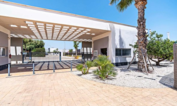 Obra nueva - Apartamento - Vera