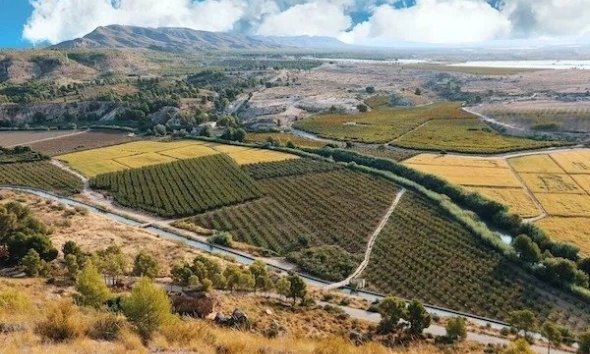 Rynek Pierwotny - Willa - Calasparra