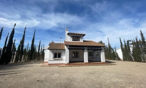 New Build - Villa - Fuente Álamo - Fuente Alamo