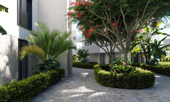 New Build - Apartment - Torre Pacheco